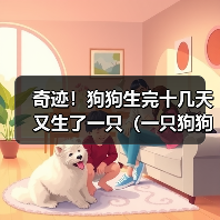 奇迹!狗狗生完十几天又生了一只(一只狗狗的惊人繁殖能力及其关键因素探析)(图1) 奇迹!狗狗生完十几天又生了一只(一只狗狗的惊人繁殖能力及其关键因素探析)(图1)