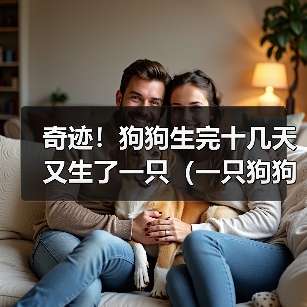 奇迹!狗狗生完十几天又生了一只(一只狗狗的惊人繁殖能力及其关键因素探析)(图3) 奇迹!狗狗生完十几天又生了一只(一只狗狗的惊人繁殖能力及其关键因素探析)(图3)