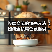 长尾仓鼠的饲养方法(如何给长尾仓鼠提供一个健康幸福的家园)(图3) 长尾仓鼠的饲养方法(如何给长尾仓鼠提供一个健康幸福的家园)(图3)