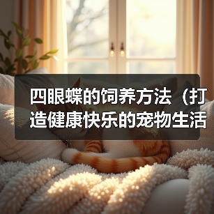 四眼蝶的饲养方法（打造健康快乐的宠物生活）（图3）