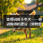 如何训练斗牛犬——听训练师的建议（宠物爱好者必看，斗牛犬训练全攻略）（图4）