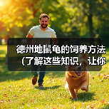 德州地鼠龟的饲养方法(了解这些知识,让你的德州地鼠龟健康快乐成长)(图2) 德州地鼠龟的饲养方法(了解这些知识,让你的德州地鼠龟健康快乐成长)(图2)