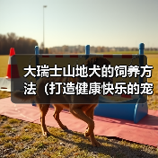 大瑞士山地犬的饲养方法(打造健康快乐的宠物生活)(图2) 大瑞士山地犬的饲养方法(打造健康快乐的宠物生活)(图2)
