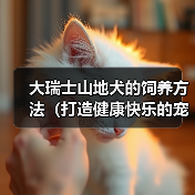 大瑞士山地犬的饲养方法(打造健康快乐的宠物生活)(图1) 大瑞士山地犬的饲养方法(打造健康快乐的宠物生活)(图1)