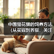 中国狸花猫的饲养方法(从买猫到养猫,关注健康成长)(图3) 中国狸花猫的饲养方法(从买猫到养猫,关注健康成长)(图3)