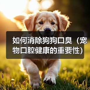 如何消除狗狗口臭(宠物口腔健康的重要性)(图3) 如何消除狗狗口臭(宠物口腔健康的重要性)(图3)