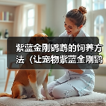 紫蓝金刚鹦鹉的饲养方法（让宠物紫蓝金刚鹦鹉健康快乐）（图4）