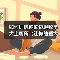 如何训练你的边境牧羊犬上厕所（让你的爱犬远离随地大小便，享受健康生活）（图1）