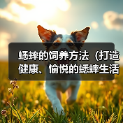 蟋蟀的饲养方法(打造健康、愉悦的蟋蟀生活)(图3) 蟋蟀的饲养方法(打造健康、愉悦的蟋蟀生活)(图3)