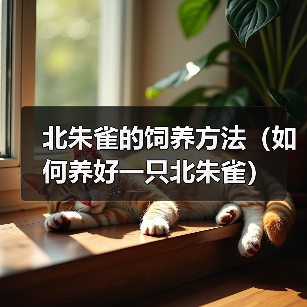 北朱雀的饲养方法（如何养好一只北朱雀）（图1）