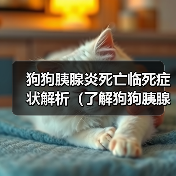 狗狗胰腺炎死亡临死症状解析（了解狗狗胰腺炎临死前的表现与处理方法）