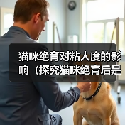 猫咪绝育对粘人度的影响（探究猫咪绝育后是否会更加亲人的现象及其原因）