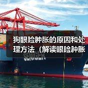 狗眼睑肿胀的原因和处理方法（解读眼睑肿胀的症状和治疗措施）（图1）