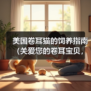 美国卷耳猫的饲养指南（关爱您的卷耳宝贝，健康快乐生活）（图1）