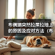 布偶猫突然拉屎拉地上的原因及应对方法（布偶猫拉屎地上的关键原因是什么，如何有效应对这一问题）（图3）