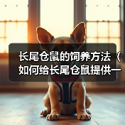长尾仓鼠的饲养方法(如何给长尾仓鼠提供一个健康幸福的家园)(图2) 长尾仓鼠的饲养方法(如何给长尾仓鼠提供一个健康幸福的家园)(图2)