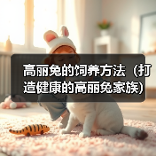 高丽兔的饲养方法（打造健康的高丽兔家族）（图3）