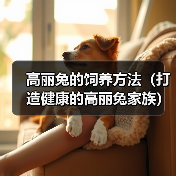 高丽兔的饲养方法（打造健康的高丽兔家族）（图4）