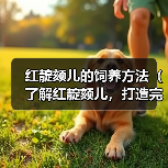 红靛颏儿的饲养方法（了解红靛颏儿，打造完美宠物生活）（图1）