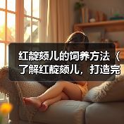 红靛颏儿的饲养方法（了解红靛颏儿，打造完美宠物生活）（图3）