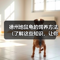 德州地鼠龟的饲养方法（了解这些知识，让你的德州地鼠龟健康快乐成长）（图4）