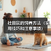 社田鼠的饲养方法（实用技巧和注意事项）（图3）