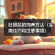 社田鼠的饲养方法（实用技巧和注意事项）（图1）