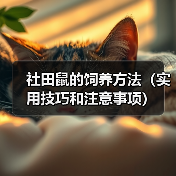 社田鼠的饲养方法（实用技巧和注意事项）（图4）