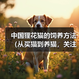 中国狸花猫的饲养方法(从买猫到养猫,关注健康成长)(图1) 中国狸花猫的饲养方法(从买猫到养猫,关注健康成长)(图1)