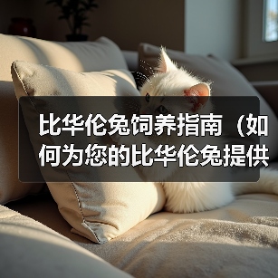 比华伦兔饲养指南（如何为您的比华伦兔提供最佳的照顾）（图2）