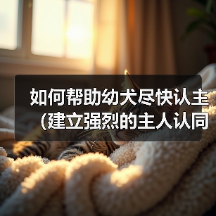 如何帮助幼犬尽快认主（建立强烈的主人认同感，促进快速适应新环境）（图1）