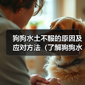 狗狗水土不服的原因及应对方法（了解狗狗水土不服的关键因素，为其提供适当的环境和护理）