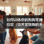 如何训练你的狗狗掌握技能（培养宠物狗的多种技能，提升亲密度与智力）
