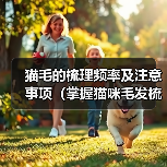 猫毛的梳理频率及注意事项（掌握猫咪毛发梳理的正确节奏，打造健康亮丽的外观）