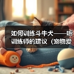 如何训练斗牛犬——听训练师的建议（宠物爱好者必看，斗牛犬训练全攻略）（图3）