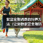 紫蓝金刚鹦鹉的饲养方法（让宠物紫蓝金刚鹦鹉健康快乐）（图3）