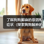 了解狗狗脚麻的原因和症状（探索狗狗脚麻的治疗和预防方法）