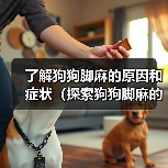 了解狗狗脚麻的原因和症状（探索狗狗脚麻的治疗和预防方法）