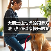 大瑞士山地犬的饲养方法（打造健康快乐的宠物生活）（图3）