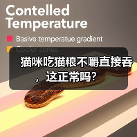 猫咪吃猫粮不嚼直接吞，这正常吗？（图2）