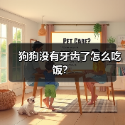 狗狗没牙齿怎么吃饭全攻略