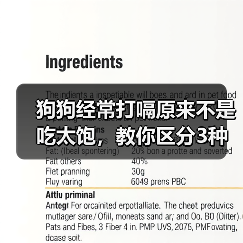 狗狗经常打嗝原来不是吃太饱，教你区分3种病理原因（图4）