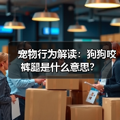 宠物行为解读：狗狗咬裤腿是什么意思？（图2）