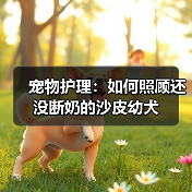 宠物护理：如何照顾还没断奶的沙皮幼犬（图3）