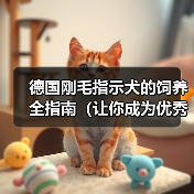 德国刚毛指示犬的饲养全指南（让你成为优秀的犬主人）（图4）