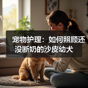 宠物护理：如何照顾还没断奶的沙皮幼犬（图1）