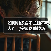 如何训练爱尔兰梗不咬人？（掌握这些技巧，让你的宠物更友善）（图1）