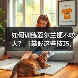 如何训练爱尔兰梗不咬人？（掌握这些技巧，让你的宠物更友善）（图2）
