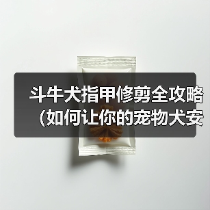 斗牛犬指甲修剪全攻略（如何让你的宠物犬安心完成修剪，避免意外伤害）（图1）
