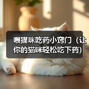 喂猫咪吃药小窍门（让你的猫咪轻松吃下药）（图1）